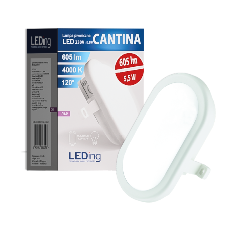 Lampa piwniczna LED 5,5W 230V CANTINA