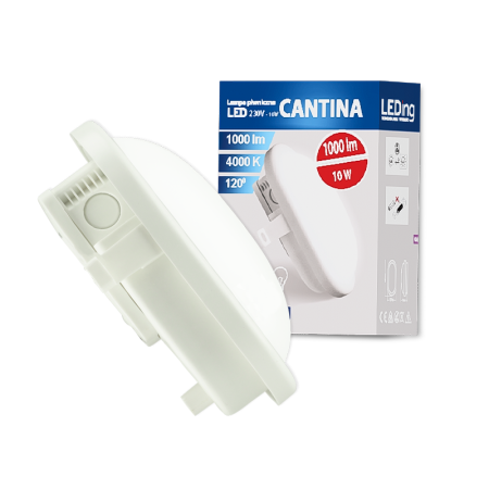 Lampa piwniczna LED 10W 230V CANTINA