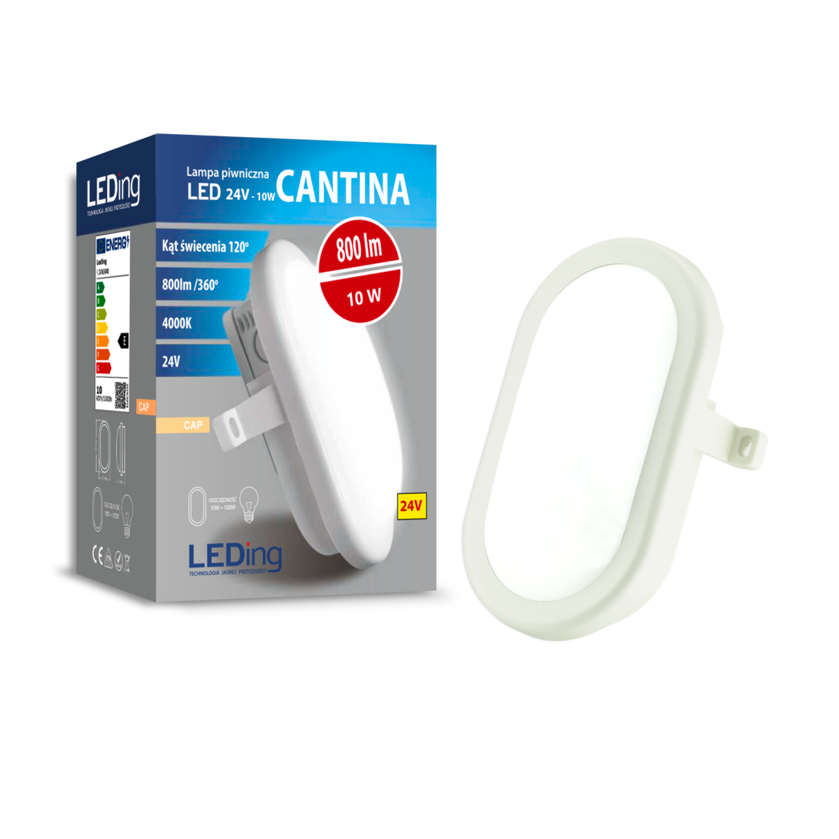 Lampa piwniczna LED 10W 24V CANTINA