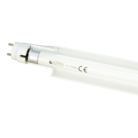 ŚWIETLÓWKA LINIO FLU 14 W 60CM 6500K