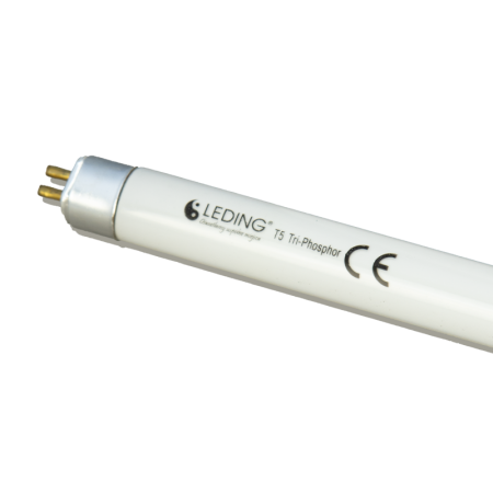 Świetlówka FLU T5 60cm 14W 230V 4100K