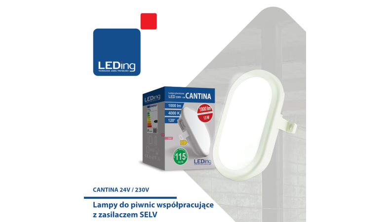 Jaka lampa do piwnicy? 230V czy 24V