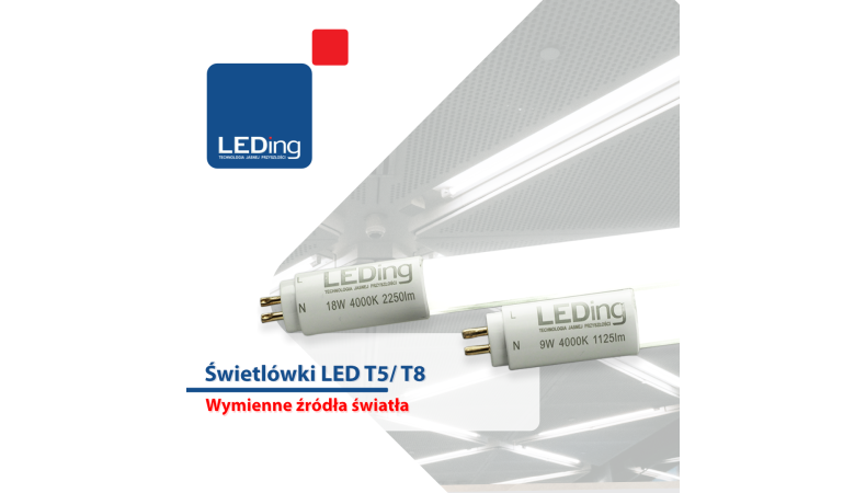 Oszczędne świetlówki LED T5