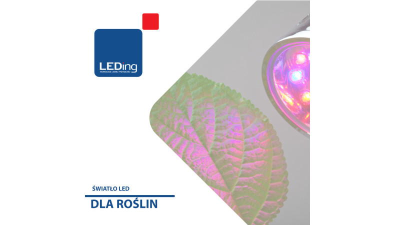 Article thumbnail Światło led dla roślin